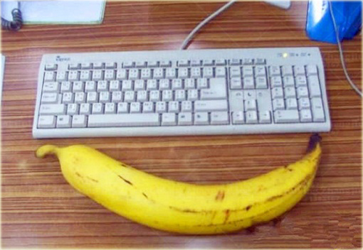 Banan Gigant