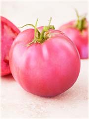 Pomidor duży różowy gronowy