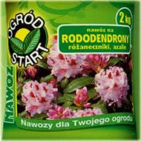 Nawóz do rododendronów i azalii