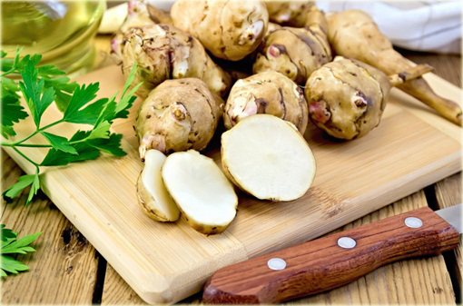 Topinambur, Słonecznik bulwiasty Helianthus tuberosus
