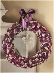 Zatrwian tatarski Goniolimon tataricum