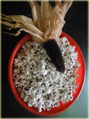 Kukurydza na popcorn czerwona Red Corn bez GMO

