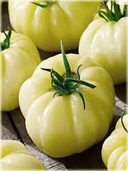 Pomidor biały Beefsteak