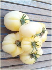 Pomidor biały San Marzano