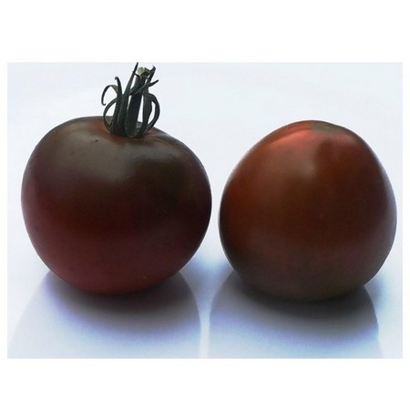 Pomidor Czarny Książę, Tomato Black Prince