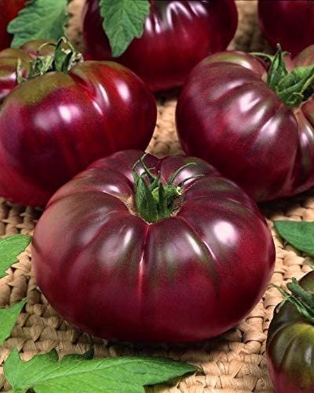 Pomidor Czarny Książę, Tomato Black Prince