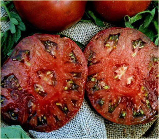 Pomidor Czarny Książę