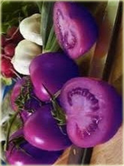 Pomidor fioletowy czereśniowy