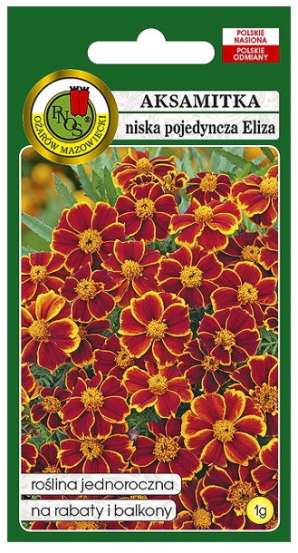 Aksamitka pojedyncza Eliza to roślina jednoroczna. Kwiaty dwubarwne czerwono-żółte, pojedyncze o średnicy 3-4 cm. Odmiana wczesna, kwitnie długo i obficie od czerwca do września.