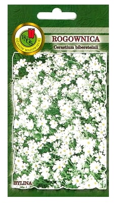Rogownica biała to drobna bylina o płożących łodygach i białych delikatnych przyjemnie pachnących kwiatach. Tworzy gęste kobierce.