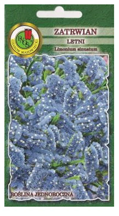Zatrwian letni Haevenly Blue to roślina jednoroczna o szorstko owłosionych, pierzasto-klapowanych liściach tworzących rozetę.