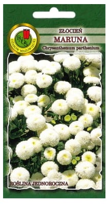 Złocień maruna Snowball biały to Roślina rozkrzewiona o wzniesionych łodygach i ząbkowanych liściach.