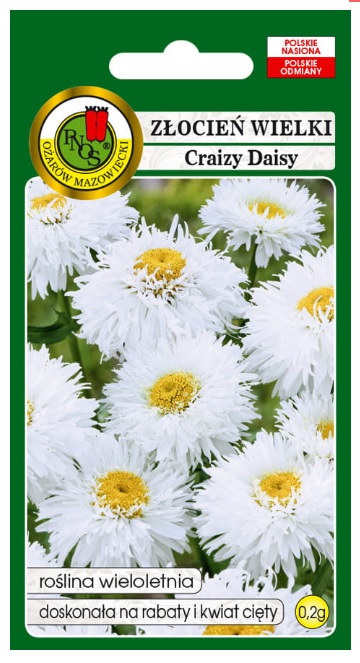 Złocień wielki Crazy Daisy biały - Kwiaty pełne lub półpełne, białe osadzone pojedynczo na szczytach pędów. Doskonała na rabaty i na kwiat cięty.